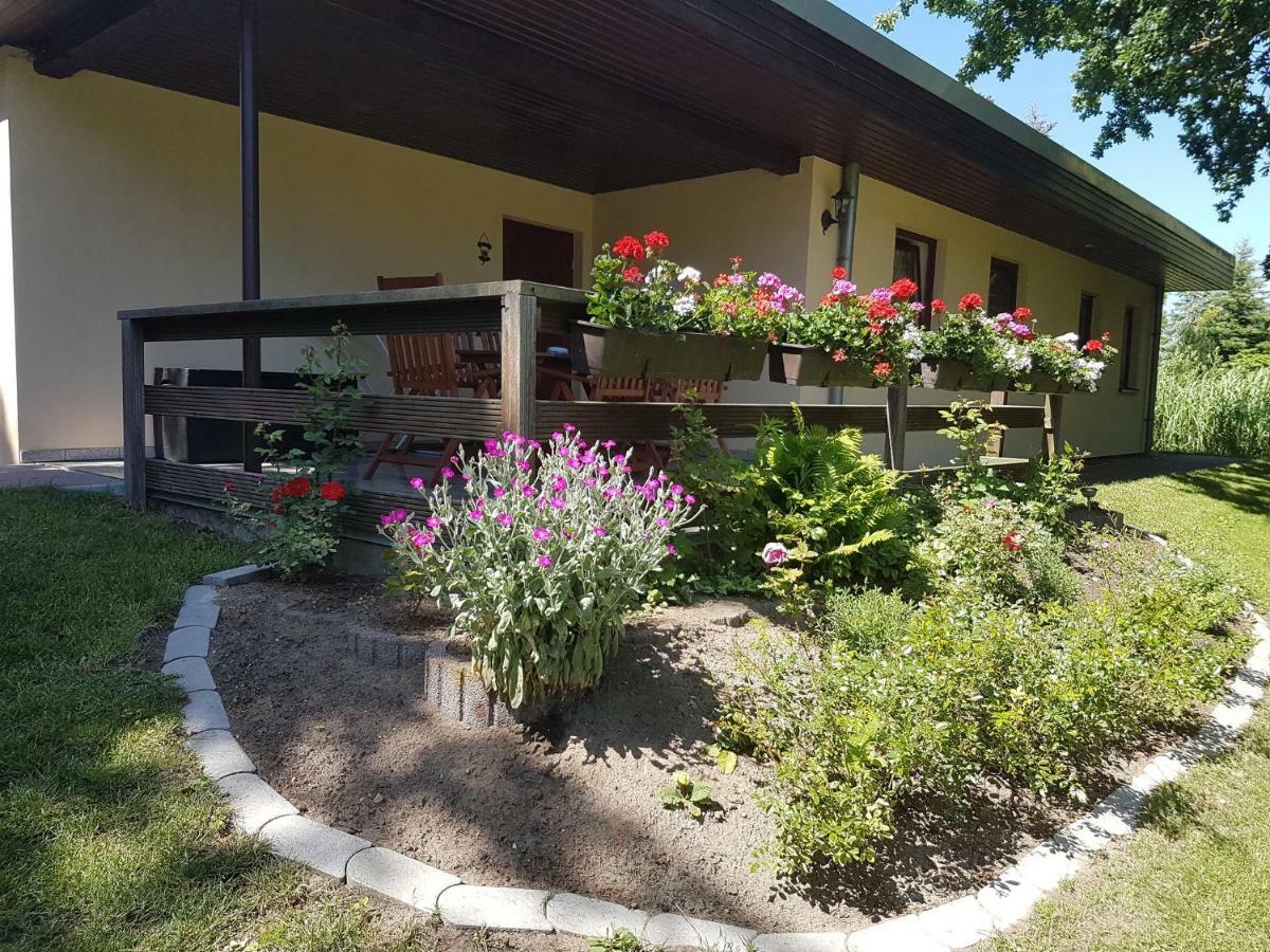 Ferienwohnanlage "Am Bernsteinsee" Apartamento Dierhagen Exterior foto